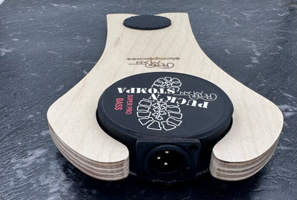 Mega Stomp professionelle Effektpedalbox mit Bass-Sound-XLR-Stecker.
