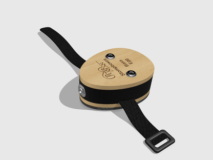 Egg Bass stomp performer stomp box with jack output bass sound. - Peterman Acoustic Music Stompbox
