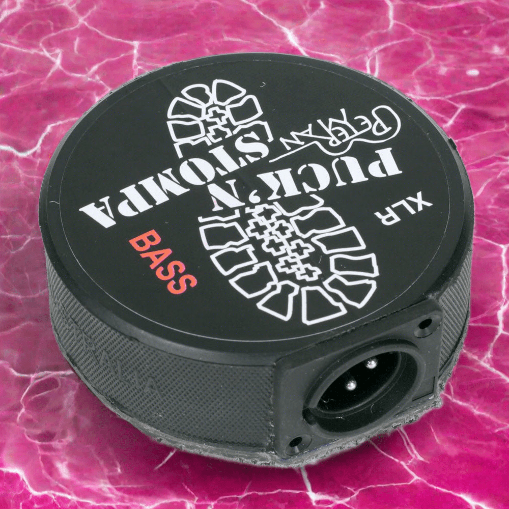 Professional Stomp Box with XLR Output and Bass Sound β Peterman Acoustic